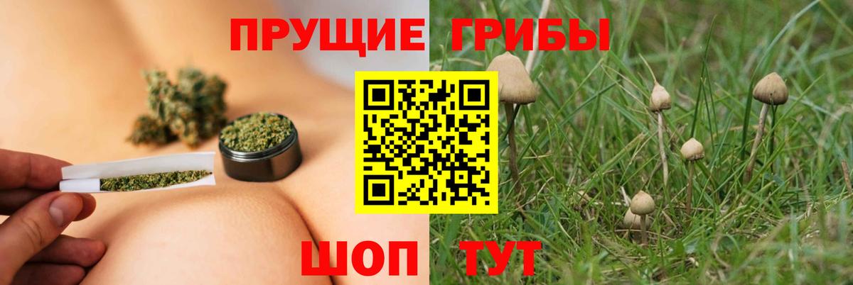 Псилоцибиновые грибы Magic Shrooms  Вход с VPN  Сафоново 